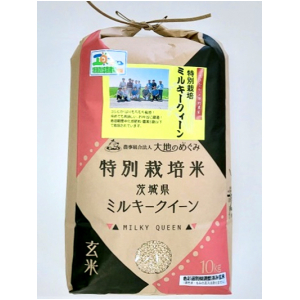 茨城県特別栽培認証米ミルキークイーン玄米　10㎏　色彩選別機調整済み